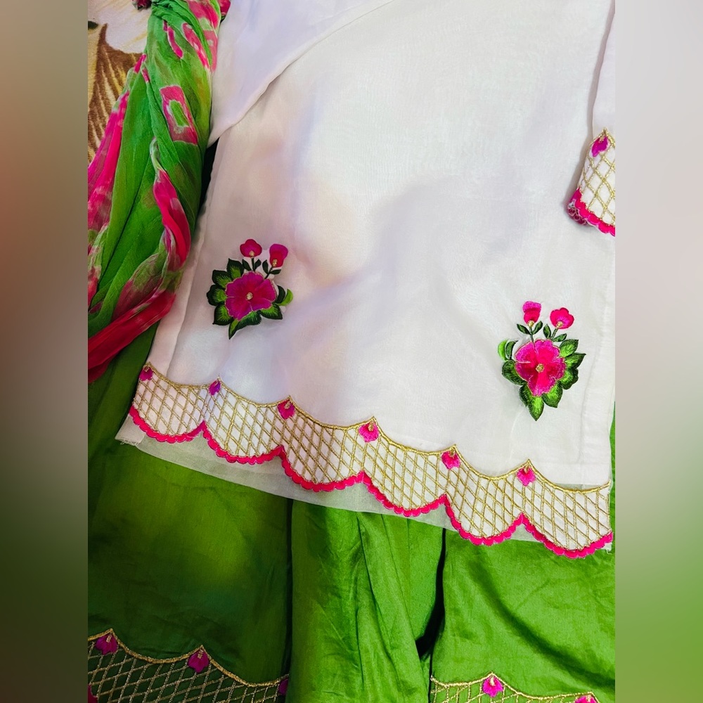 Punjabi Shraara suit with dupatta. Good to wear at parties.